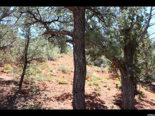 #14, Central, UT 84722 — photo 7