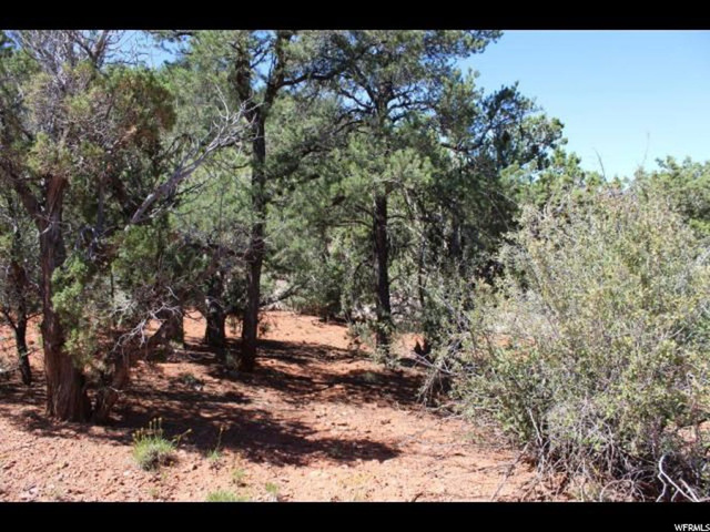 #14, Central, UT 84722 — photo 6
