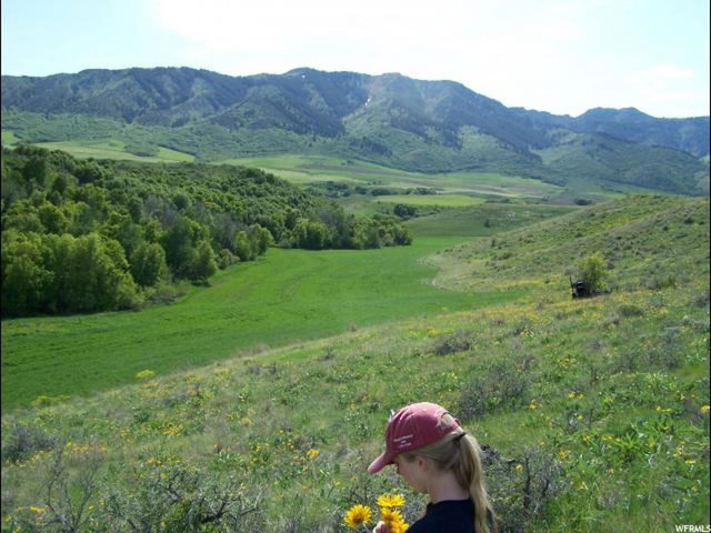 Clarkston, UT 84305 — photo 3