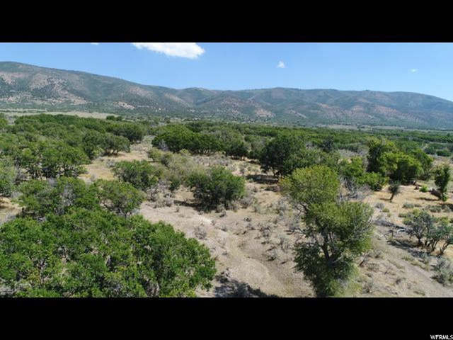1257 E Draper Dr, Wallsburg, UT 84082 — photo 12