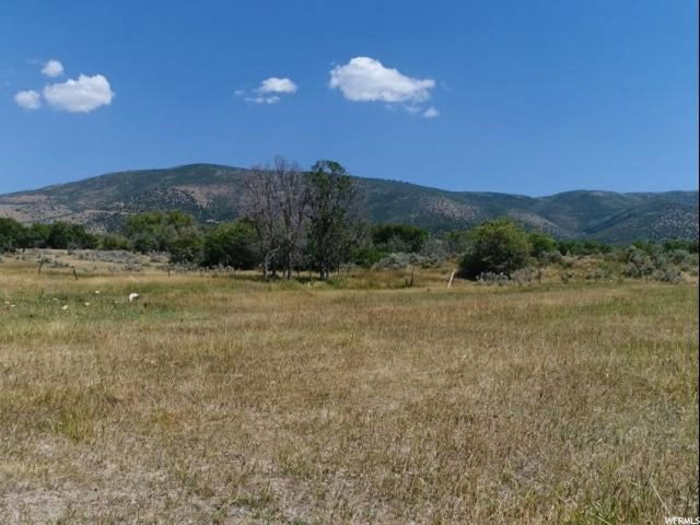 1257 E Draper Dr, Wallsburg, UT 84082 — photo 7