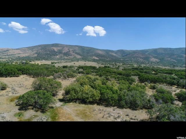 1257 E Draper Dr, Wallsburg, UT 84082 — photo 8