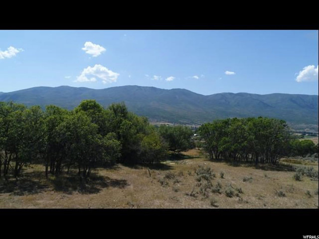 1257 E Draper Dr, Wallsburg, UT 84082 — photo 10