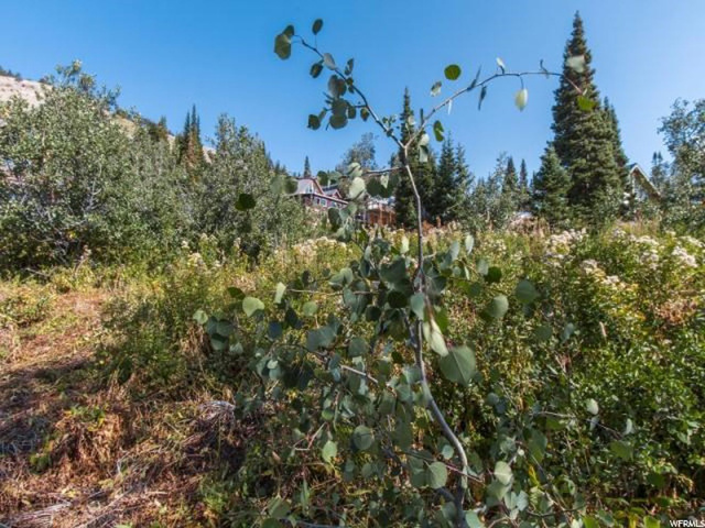 6744 N Chaparral E #25, Eden, UT 84310 — photo 11