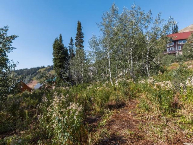 6744 N Chaparral E #25, Eden, UT 84310 — photo 10