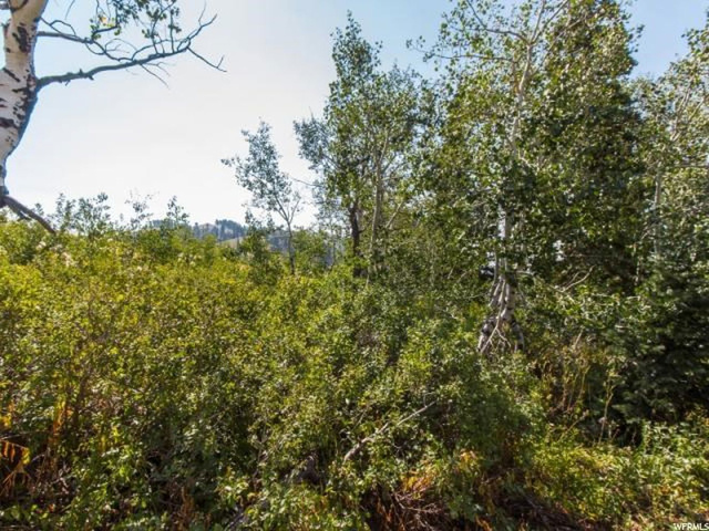 6744 N Chaparral E #25, Eden, UT 84310 — photo 12