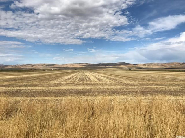 Levan, UT 84639 — photo 8