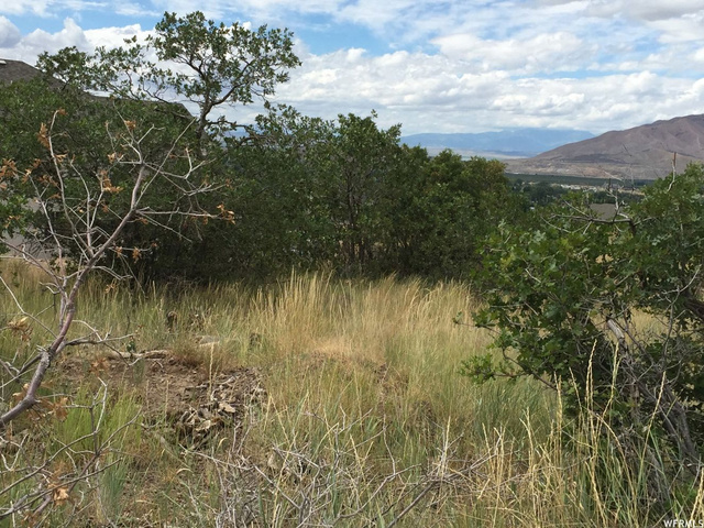 930 E 370 S #14, Santaquin, UT 84655 — photo 11