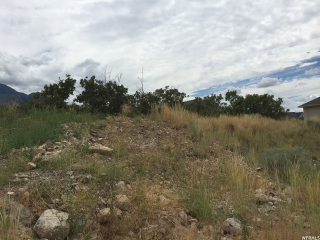930 E 370 S #14, Santaquin, UT 84655 — photo 12