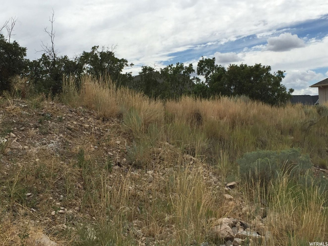 930 E 370 S #14, Santaquin, UT 84655 — photo 9