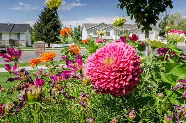528 S 800 E, Smithfield, UT 84335 — photo 6