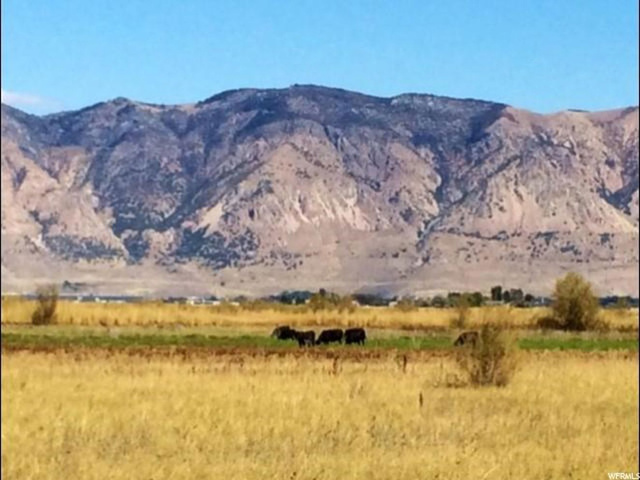 4100 W Forest, Brigham City, UT 84302 — photo 10