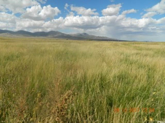 Sharp Rd W, Vernon, UT 84080 — photo 3
