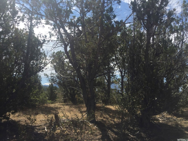 5 E Frampton Heights Rd. N, Fillmore, UT 84631 — photo 8