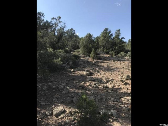 #42, Central, UT 84722 — photo 3