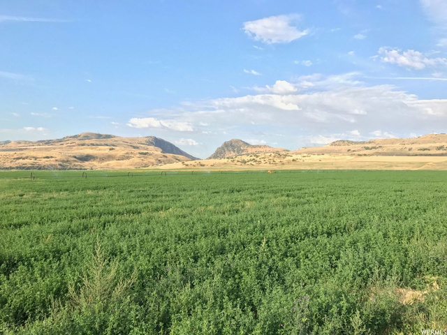 7400 W 7400 N, Newton, UT 84327 — photo 3