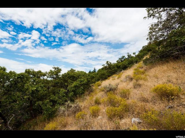 5944 S Spring Canyon Rd, Ogden, UT 84403 — photo 4