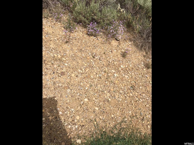 #37, Scofield, UT 84526 — photo 8