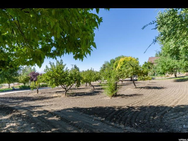 1616 N Main W, Willard, UT 84340 — photo 11