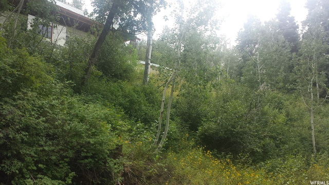 14770 E Mountain Spgs E #J 83, Fairview, UT 84629 — photo 4