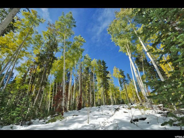 990 N Monviso E #30, Kamas, UT 84036 — photo 11