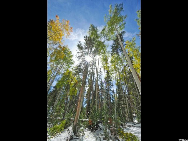 990 N Monviso E #30, Kamas, UT 84036 — photo 12