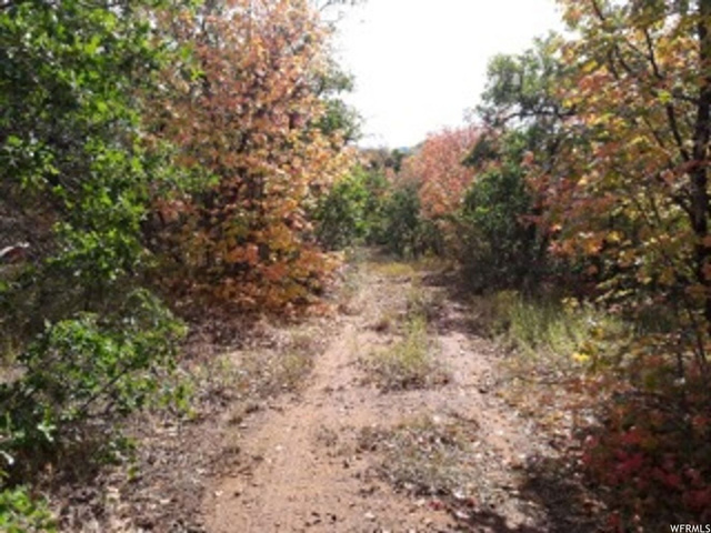 #241, Indianola, UT 84629 — photo 5