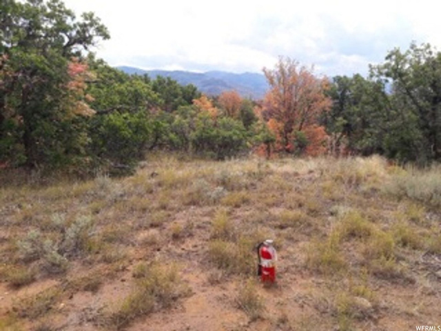 #241, Indianola, UT 84629 — photo 9