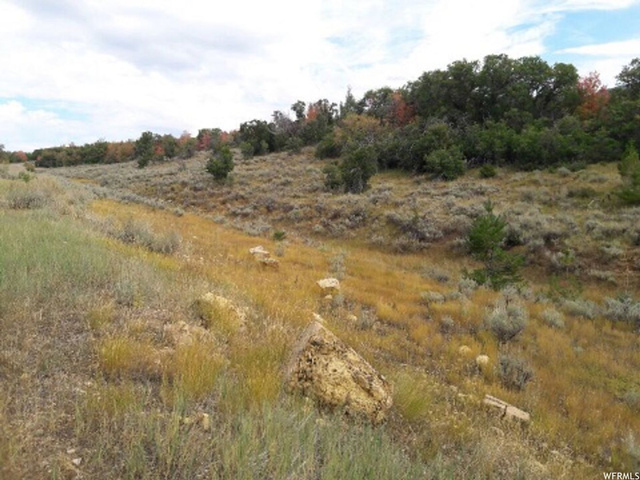 #241, Indianola, UT 84629 — photo 3