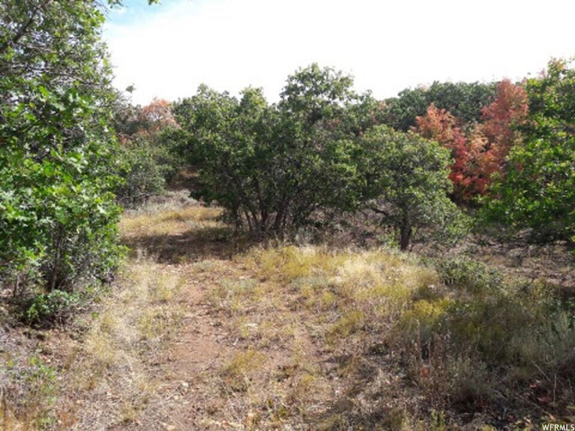 #241, Indianola, UT 84629 — photo 4