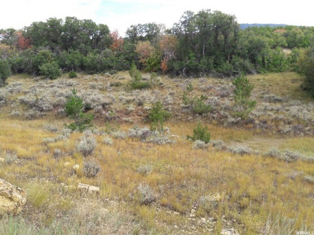 #241, Indianola, UT 84629 — photo 2