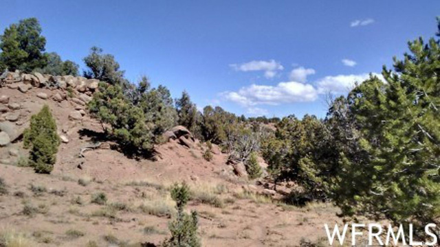 #82, Fruitland, UT 84027 — photo 11