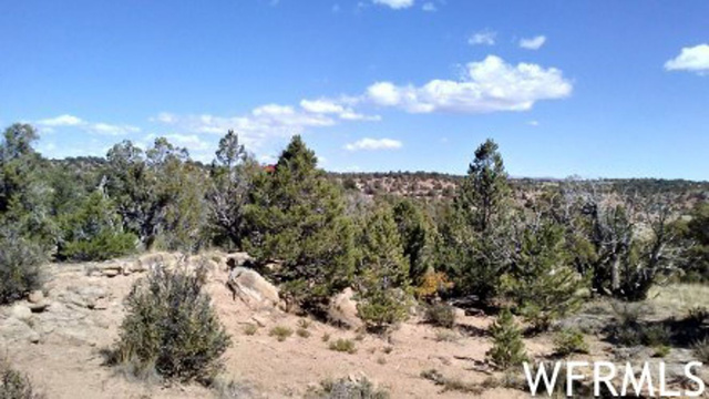 #82, Fruitland, UT 84027 — photo 5