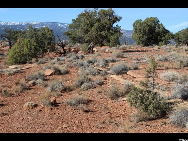 255 S Pine Dr E, Torrey, UT 84775 — photo 5