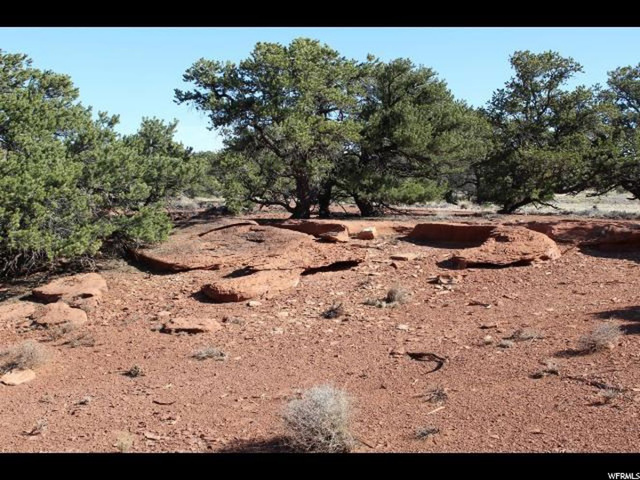 255 S Pine Dr E, Torrey, UT 84775 — photo 7