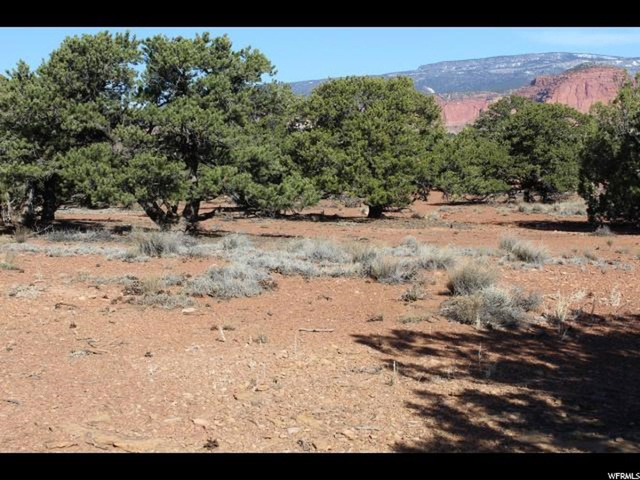 255 S Pine Dr E, Torrey, UT 84775 — photo 4
