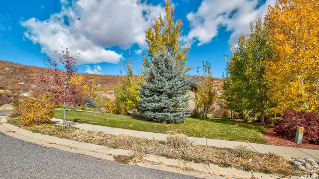 1312 Lime Canyon Rd, Midway, UT 84049 — photo 4