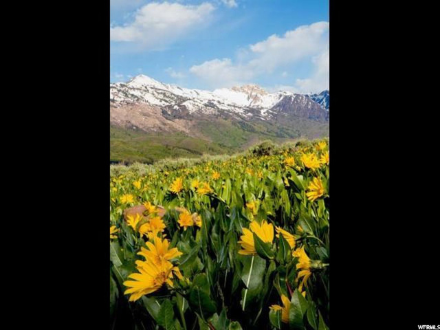 4851 E Bailey Lane #204, Eden, UT 84310 — photo 9