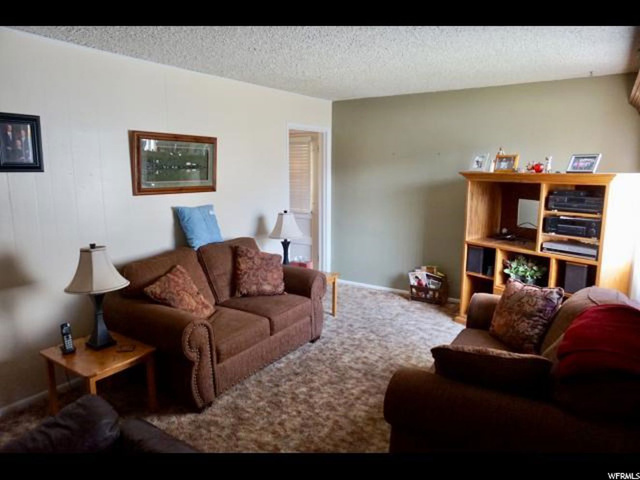 162 Brookside Dr, Springville, UT 84663 — photo 5