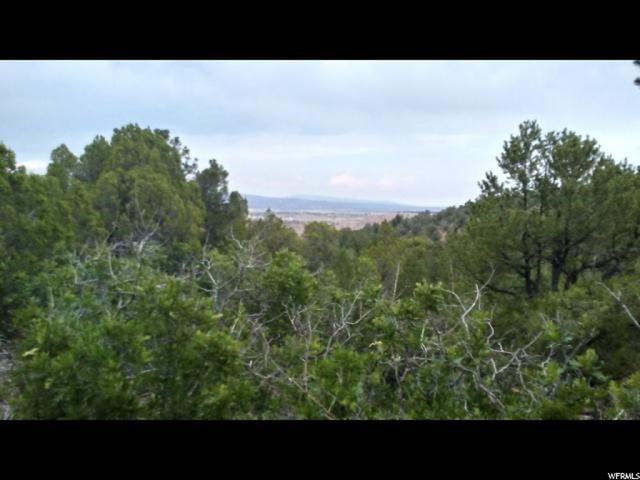 #1, Fruitland, UT 84027 — photo 5