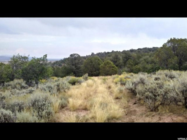 #1, Fruitland, UT 84027 — photo 10