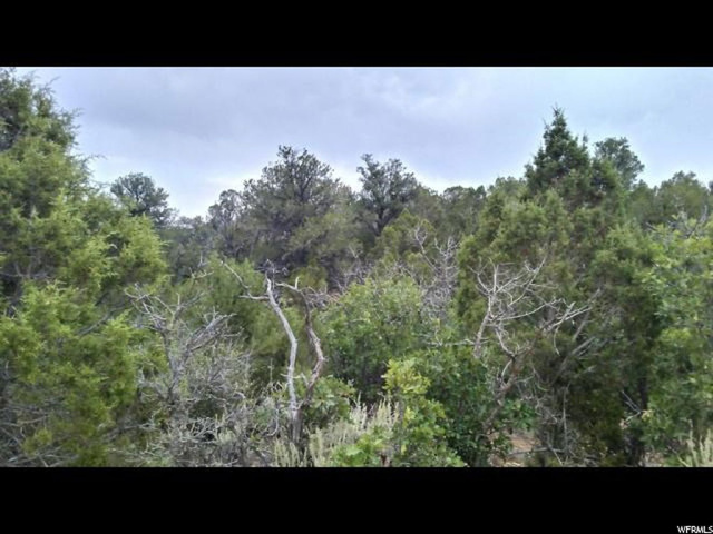 #1, Fruitland, UT 84027 — photo 2