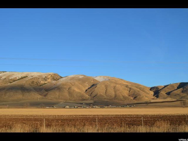 1225 Moose Loop, Montpelier, ID 83254 — photo 11