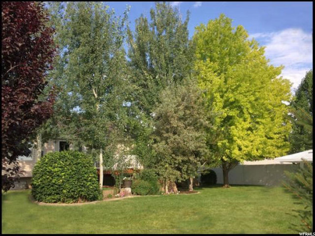 539 N 1100 E, Layton, UT 84040 — photo 6