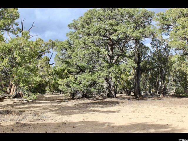 #13, Fruitland, UT 84027 — photo 3