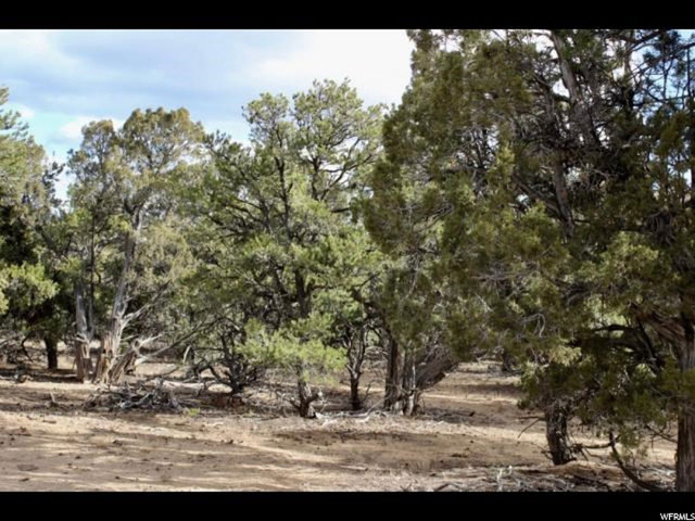 #13, Fruitland, UT 84027 — photo 4