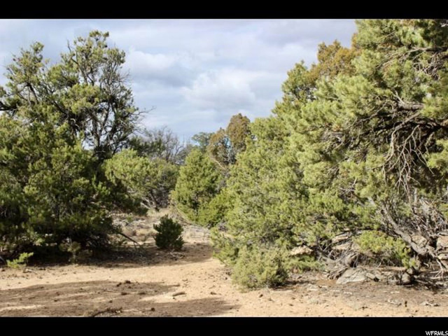 #13, Fruitland, UT 84027 — photo 7