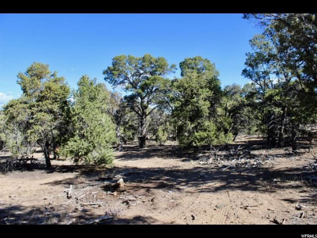 #13, Fruitland, UT 84027 — photo 6