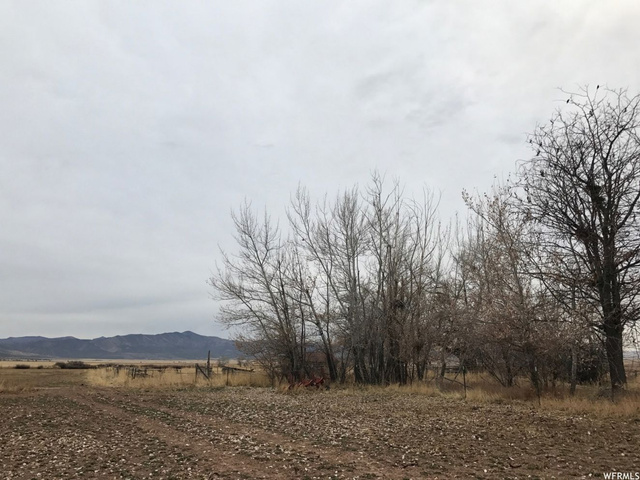 Meadow, UT 84644 — photo 11