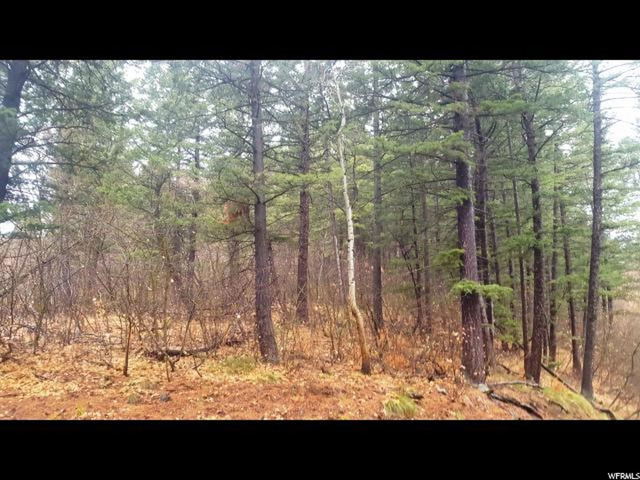 Bancroft, ID 83217 — photo 2